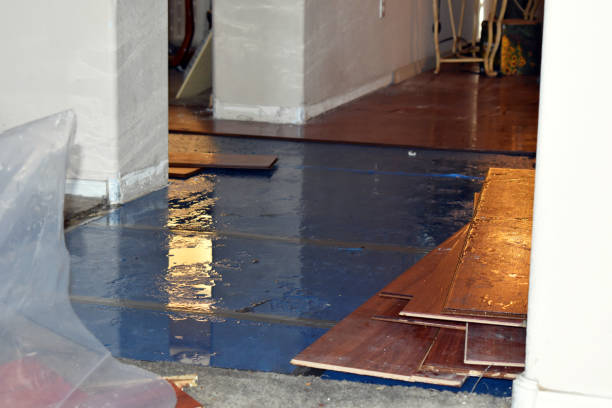 Professional Flood Damage Restoration technician working in Owosso, MI